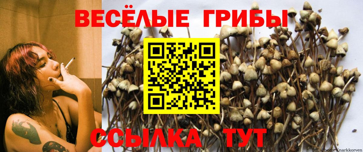 Псилоцибиновые грибы ЛСД Саяногорск