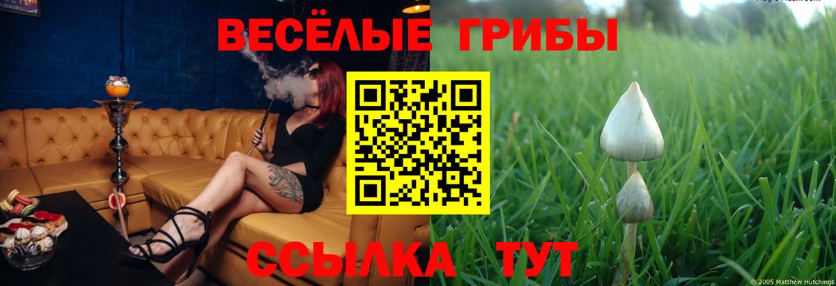 Саяногорск  Псилоцибиновые грибы GOLDEN TEACHER  Галлюциногенные грибы ЛСД  Вход с VPN 