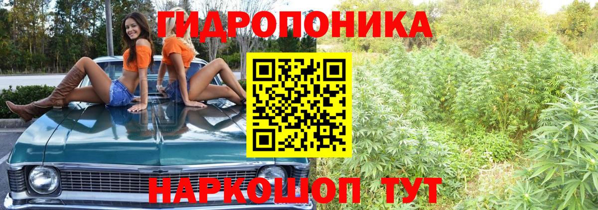 МАРИХУАНА сатива Саяногорск